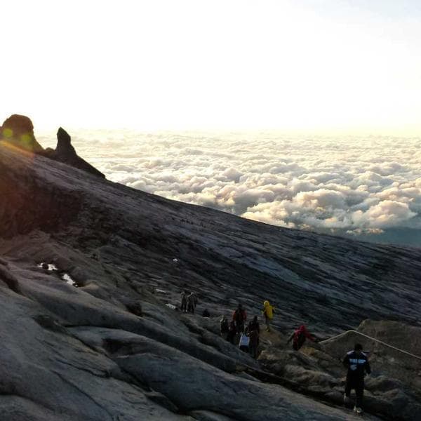 Příprava výstavy 5